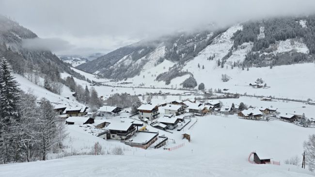Rauris goud in de sneeuw van het Nationalpark.
